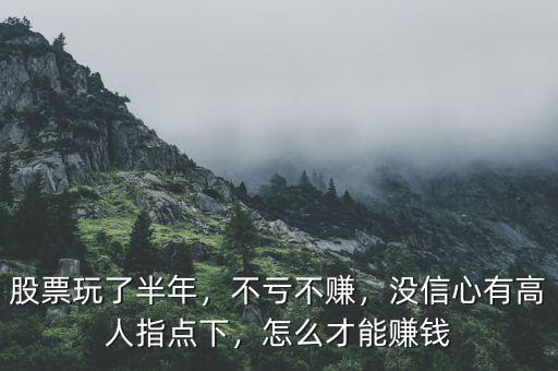 股票玩了半年，不虧不賺，沒信心有高人指點下，怎么才能賺錢