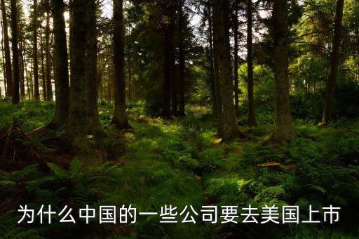 為什么都要赴美上市,華為為什么要把工廠(chǎng)設(shè)在美國(guó)
