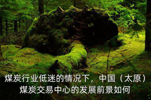 煤炭行業(yè)低迷的情況下，中國(guó)（太原）煤炭交易中心的發(fā)展前景如何