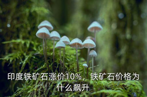 印度鐵礦石漲價(jià)10%，鐵礦石價(jià)格為什么飆升