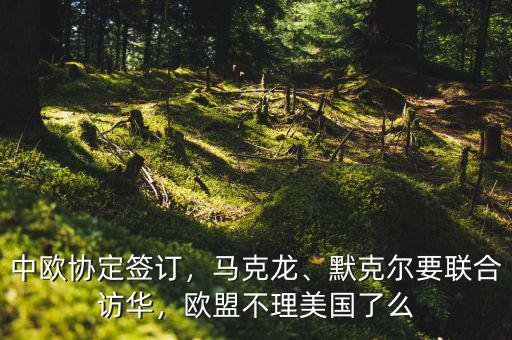 中歐協(xié)定簽訂，馬克龍、默克爾要聯(lián)合訪華，歐盟不理美國了么