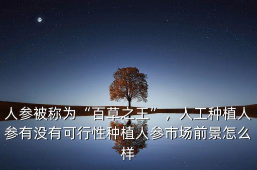 人參被稱為“百草之王”，人工種植人參有沒有可行性種植人參市場前景怎么樣