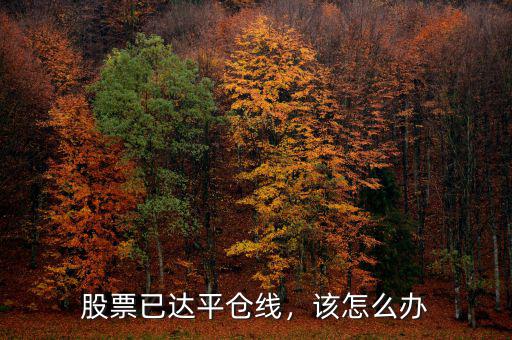 股票已達(dá)平倉(cāng)線，該怎么辦