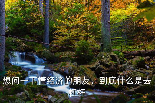 想問(wèn)一下懂經(jīng)濟(jì)的朋友，到底什么是去杠桿