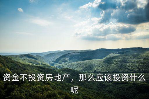 資金不投資房地產(chǎn)，那么應(yīng)該投資什么呢