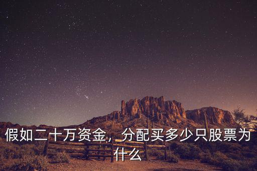 假如二十萬資金，分配買多少只股票為什么