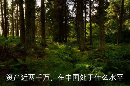 資產(chǎn)近兩千萬，在中國處于什么水平
