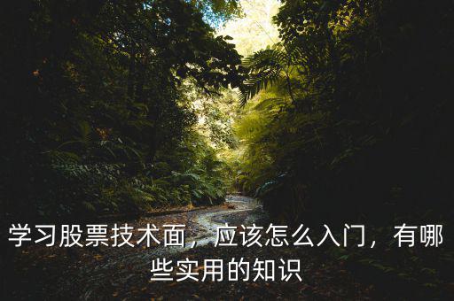股市的技術(shù)面怎么分析,應該怎么入門
