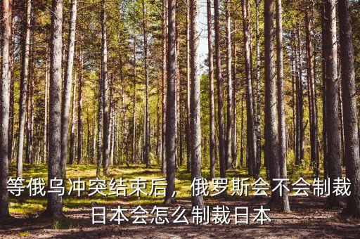 等俄烏沖突結(jié)束后，俄羅斯會不會制裁日本會怎么制裁日本