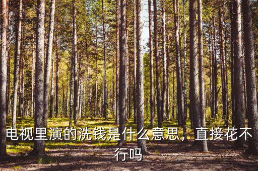 電視里演的洗錢(qián)是什么意思，直接花不行嗎