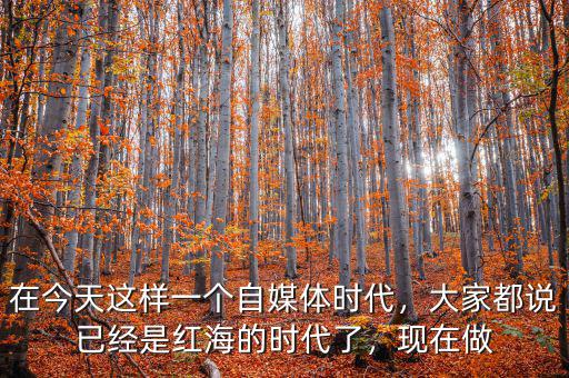 在今天這樣一個自媒體時代，大家都說已經(jīng)是紅海的時代了，現(xiàn)在做