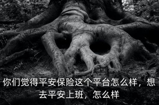你們覺得平安保險這個平臺怎么樣，想去平安上班，怎么樣