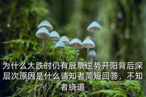 為什么大跌時仍有股票逆勢開陽背后深層次原因是什么請知者簡短回答，不知者繞道