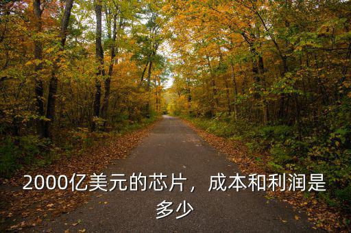 2000億美元的芯片，成本和利潤是多少