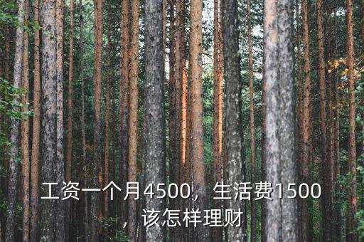 工資一個月4500，生活費1500，該怎樣理財