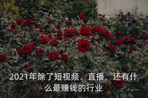 2021年除了短視頻、直播，還有什么最賺錢的行業(yè)