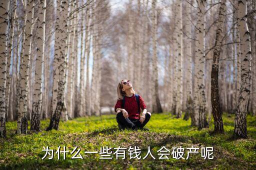 美能達(dá)為什么破產(chǎn),為什么一些有錢(qián)人會(huì)破產(chǎn)呢