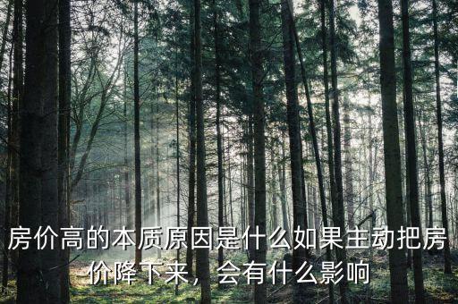 房?jī)r(jià)高的本質(zhì)原因是什么如果主動(dòng)把房?jī)r(jià)降下來(lái)，會(huì)有什么影響