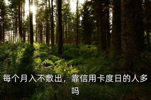每個(gè)月入不敷出，靠信用卡度日的人多嗎