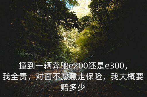 撞到一輛奔馳e200還是e300，我全責(zé)，對面不愿意走保險(xiǎn)，我大概要賠多少