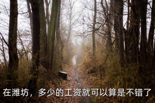 在濰坊，多少的工資就可以算是不錯了