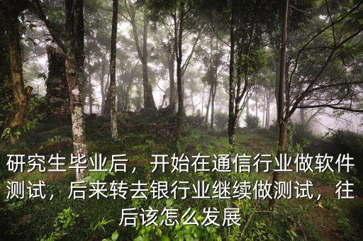 研究生畢業(yè)后，開始在通信行業(yè)做軟件測試，后來轉(zhuǎn)去銀行業(yè)繼續(xù)做測試，往后該怎么發(fā)展