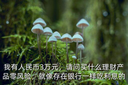 我有人民幣3萬(wàn)元，請(qǐng)問(wèn)買什么理財(cái)產(chǎn)品零風(fēng)險(xiǎn)，就像存在銀行一樣吃利息的