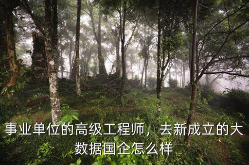 事業(yè)單位的高級工程師，去新成立的大數(shù)據(jù)國企怎么樣