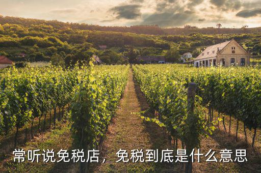 常聽說免稅店，免稅到底是什么意思