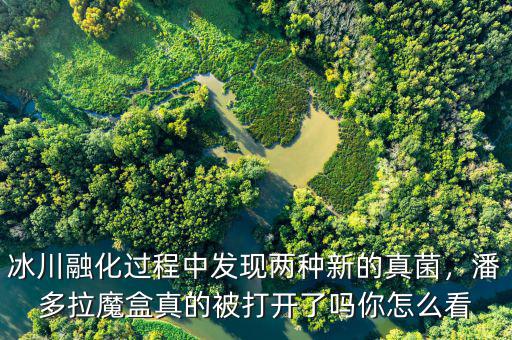 冰川融化過(guò)程中發(fā)現(xiàn)兩種新的真菌，潘多拉魔盒真的被打開了嗎你怎么看