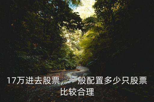 17萬進去股票，一般配置多少只股票比較合理