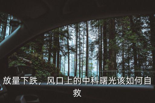 放量下跌，風(fēng)口上的中科曙光該如何自救