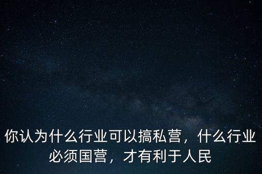 你認(rèn)為什么行業(yè)可以搞私營(yíng)，什么行業(yè)必須國(guó)營(yíng)，才有利于人民