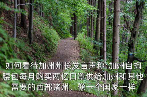 如何看待加州州長發(fā)言聲稱:加州自掏腰包每月購買兩億口罩供給加州和其他需要的西部諸州，像一個國家一樣