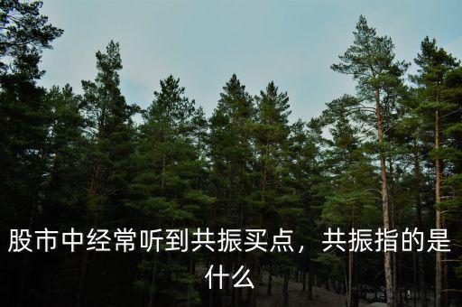 股市中經(jīng)常聽到共振買點(diǎn)，共振指的是什么