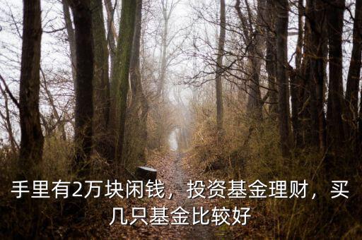 手里有2萬塊閑錢，投資基金理財，買幾只基金比較好