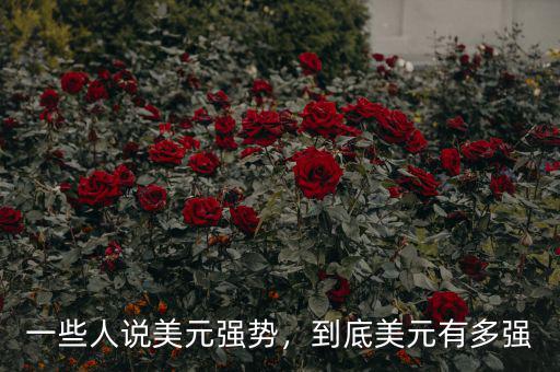 一些人說美元強勢，到底美元有多強