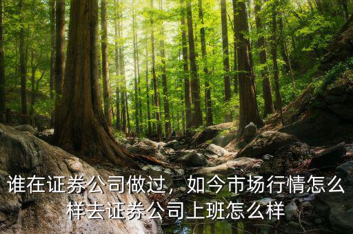 誰在證券公司做過，如今市場行情怎么樣去證券公司上班怎么樣