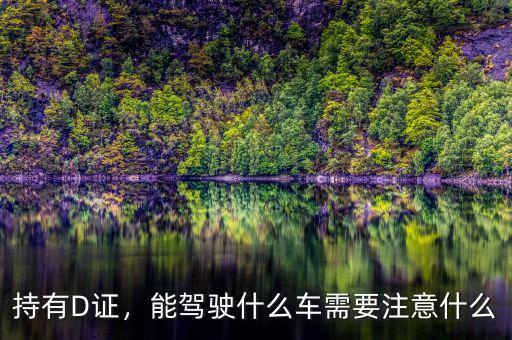 持有D證，能駕駛什么車需要注意什么