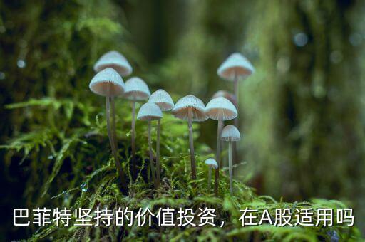 巴菲特為什么投資A股,巴菲特堅(jiān)持的價(jià)值投資