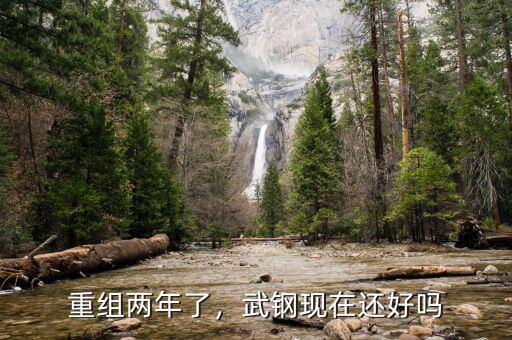 重組兩年了，武鋼現(xiàn)在還好嗎