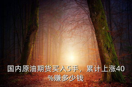 國內(nèi)原油期貨買入5手，累計(jì)上漲40%賺多少錢