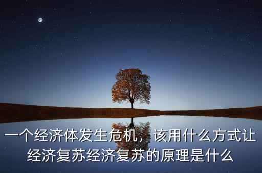 一個經(jīng)濟(jì)體發(fā)生危機，該用什么方式讓經(jīng)濟(jì)復(fù)蘇經(jīng)濟(jì)復(fù)蘇的原理是什么