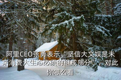阿里CEO張勇表示“堅信大文娛是未來消費大生態(tài)必須的組成部分”，對此你怎么看