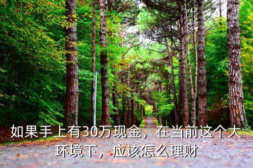 如果手上有30萬現(xiàn)金，在當前這個大環(huán)境下，應該怎么理財