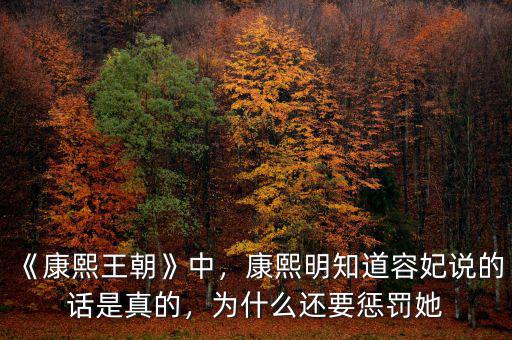 《康熙王朝》中，康熙明知道容妃說的話是真的，為什么還要懲罰她
