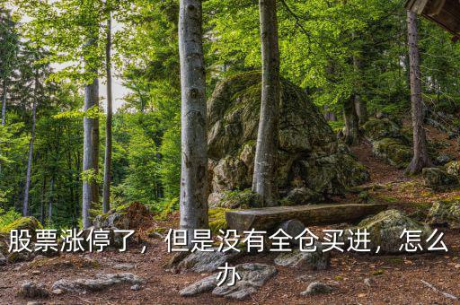 股票漲停了，但是沒有全倉買進(jìn)，怎么辦