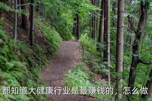 都知道大健康行業(yè)是最賺錢的，怎么做