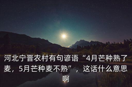 河北寧晉農(nóng)村有句諺語“4月芒種熟了麥，5月芒種麥不熟”，這話什么意思啊