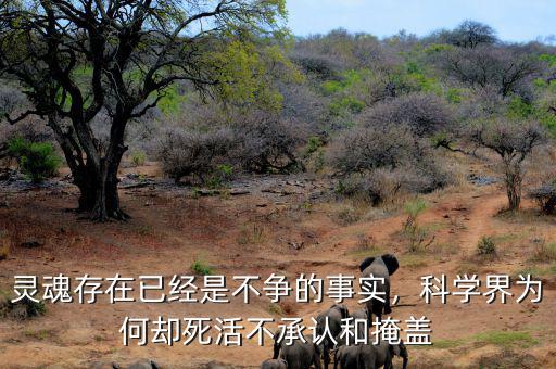 靈魂存在已經(jīng)是不爭的事實(shí)，科學(xué)界為何卻死活不承認(rèn)和掩蓋